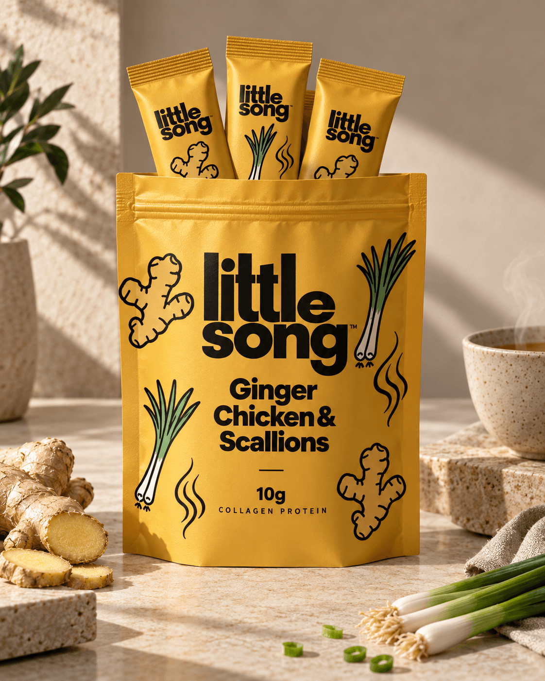 Little Song Ginger Chicken and Scallions broth packaging